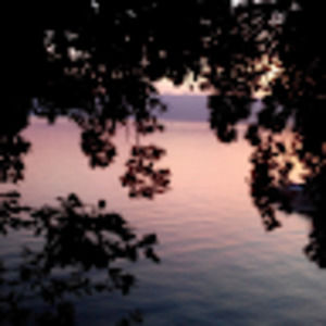 Meet your Posher, Caitlin